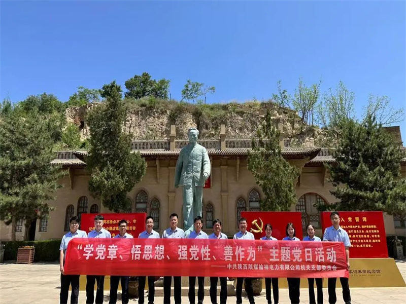 榆神電力公司開展“學(xué)黨章、悟思想、強黨性、善作為”主題黨日活動.jpg