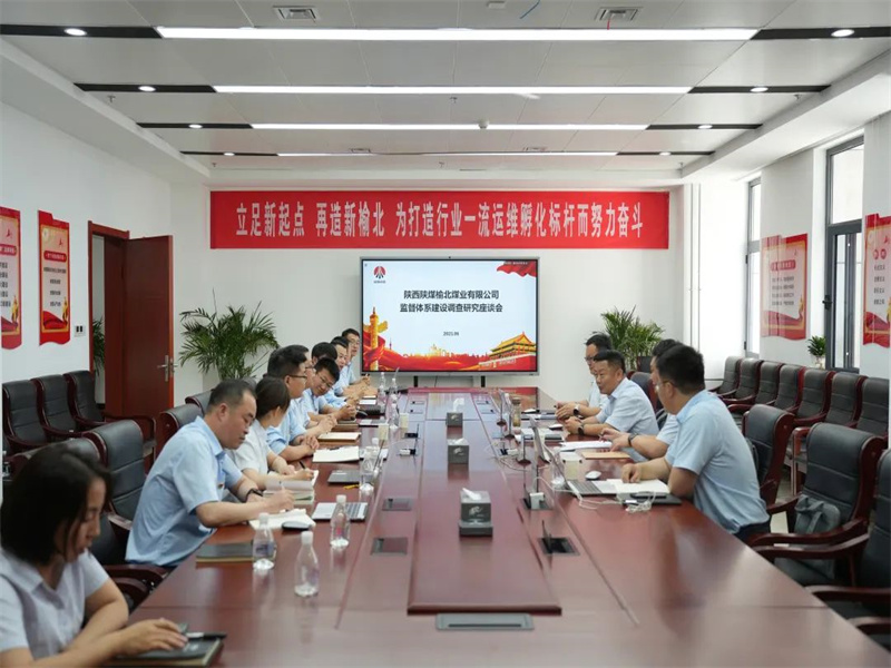 公司領導班子成員到所屬單位開展專題調(diào)研（2）.jpg